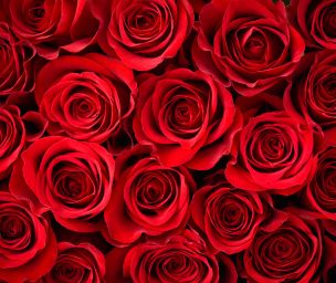 Classic Red Roses & Chocolate Tray