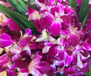 Royal Purple Orchid Arrangement